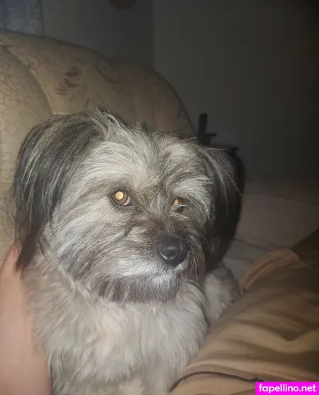 Mickey93 OnlyFans Thumbnail #7Ui53MpjQJ