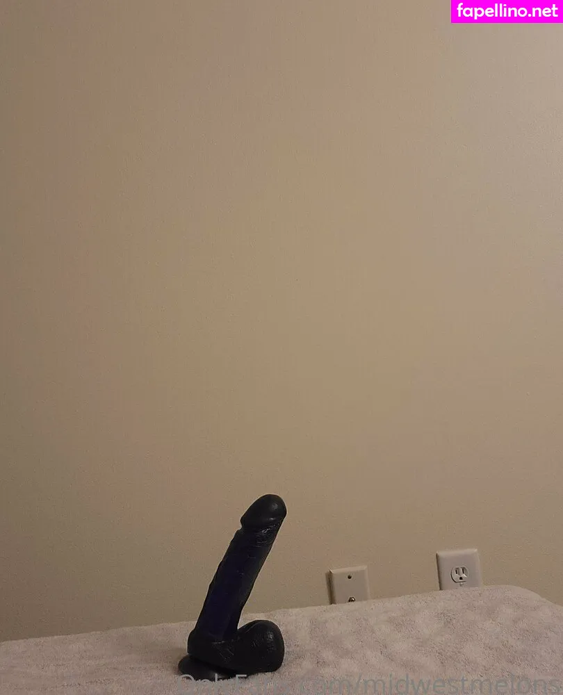 midwesternstl, midwestmelons Nude Leaked OnlyFans Photo #D7x2utCdse