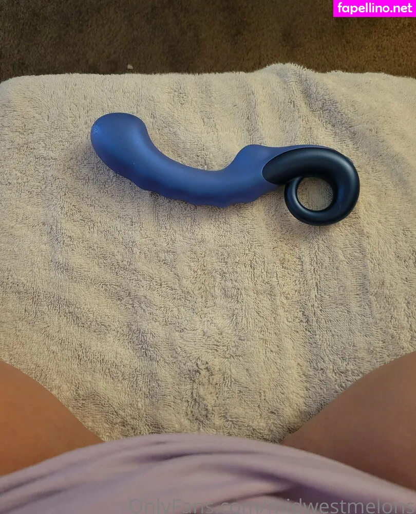 midwesternstl, midwestmelons Nude Leaked OnlyFans Photo #q3io0ub5Ne