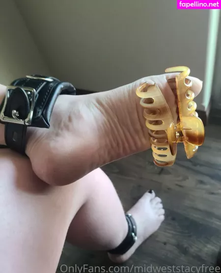 Midweststacyfree OnlyFans Thumbnail #AZs0S3LLTZ