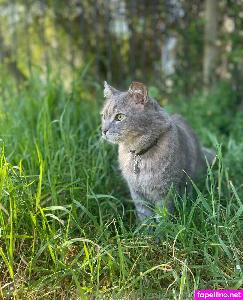 mightytinybaddie Nude Leaked OnlyFans Photo #FZB48qrEnF