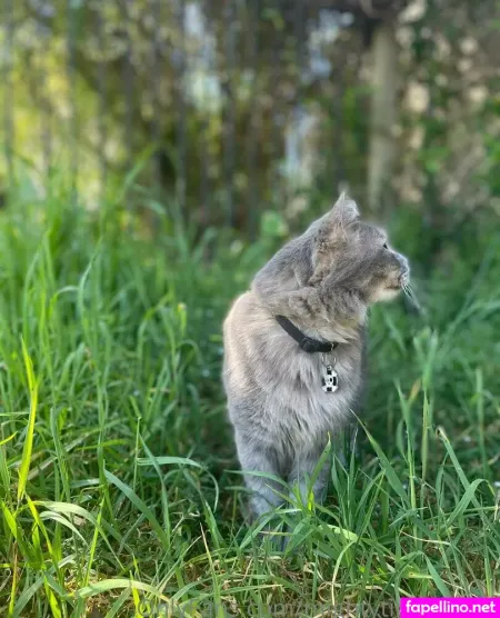 Mightytinybaddie OnlyFans Thumbnail #W6cnMirbQp