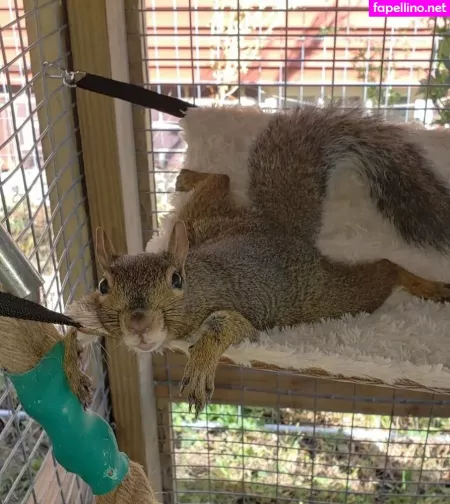 Mikaylarainesfans OnlyFans Thumbnail #NCcdh2gD12