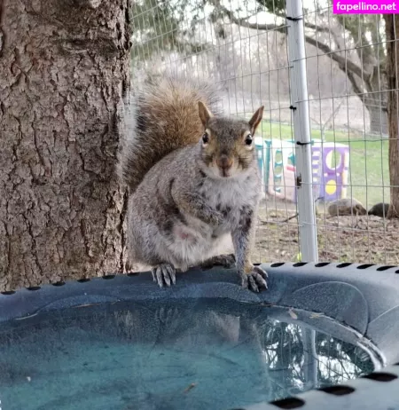 Mikaylarainesfans OnlyFans Thumbnail #daE4jTfLlw