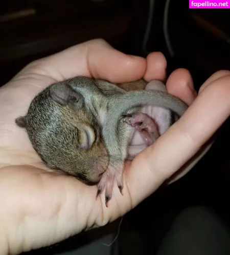 Mikaylarainesfans OnlyFans Thumbnail #egmbaDv0KW