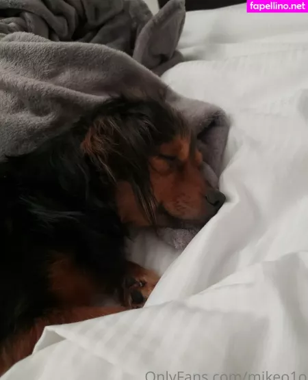 Mikeo1o OnlyFans Thumbnail #Nn8icNssje