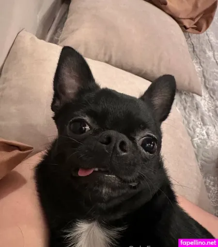 Mila Xa OnlyFans Thumbnail #kqEFLLZU1H