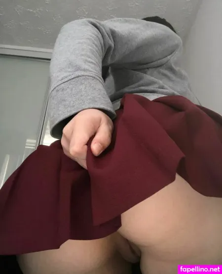 Milkboxcat Main Profile Photo