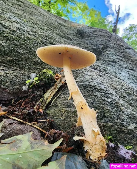 Milky OnlyFans Thumbnail #920litqIdn