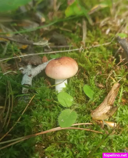 Milky OnlyFans Thumbnail #syZtZGGSQv