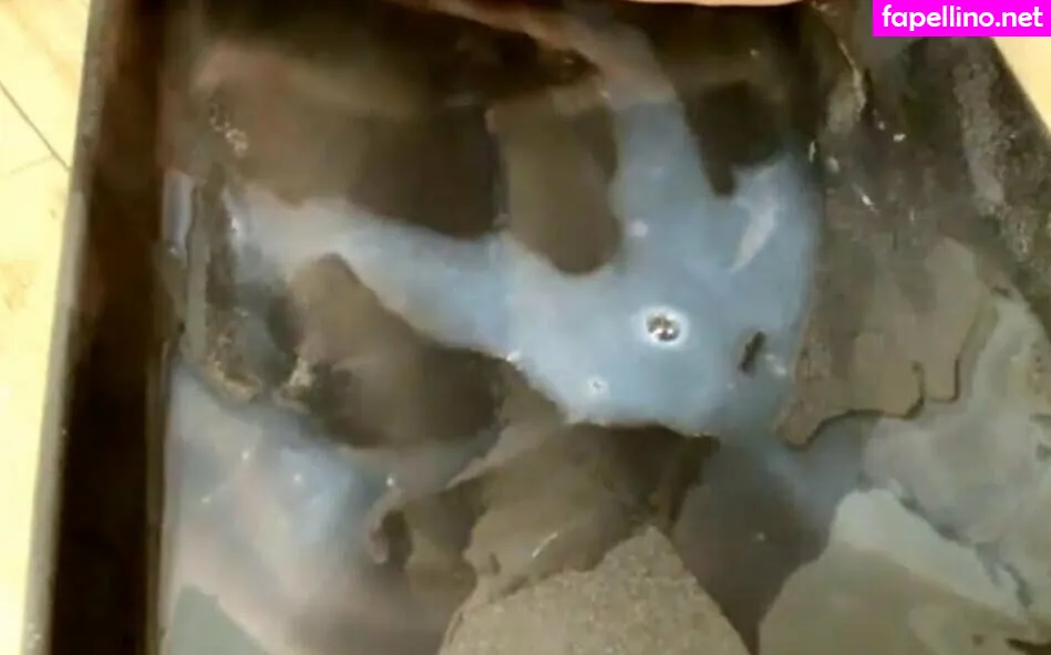 _milky_thecat, milkycatcom Nude Leaked OnlyFans Photo #VoCcYrcmuA