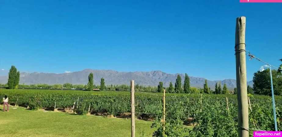 Mindarinaasmr OnlyFans Thumbnail #HKwI6rIIXE