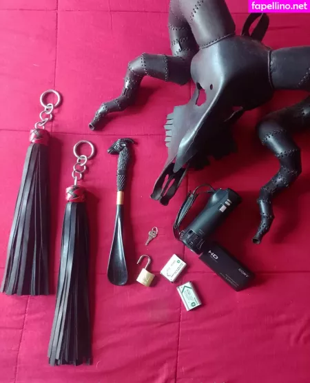 Mini Beast Ropes OnlyFans Thumbnail #3Ztw16aLCQ