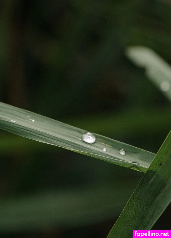 mira.vainer, miravainer Nude Leaked OnlyFans Photo #8tMaaeAFkC