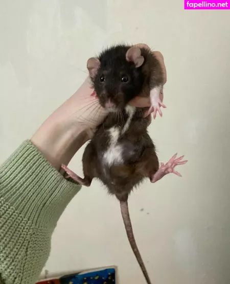 Miranda Free OnlyFans Thumbnail #PmIVklEHFW