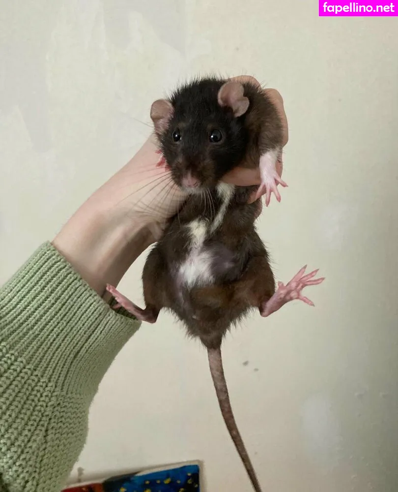 miranda_free, mirandafreeartist Nude Leaked OnlyFans Photo #PmIVklEHFW