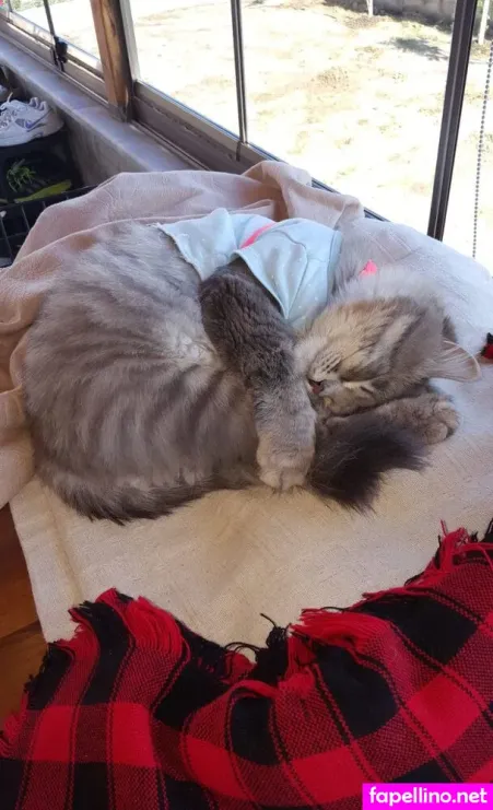 Mishamia OnlyFans Thumbnail #xpr1kjD30G