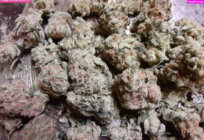 Mislonglegs OnlyFans Thumbnail #SfeeEJzx3T