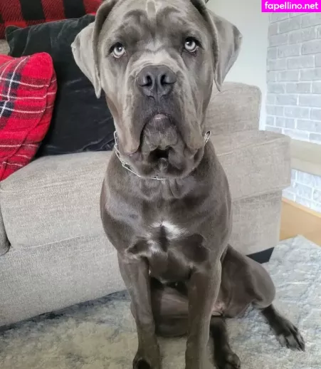 Miss Jee Yung OnlyFans Thumbnail #BfkeulyJei