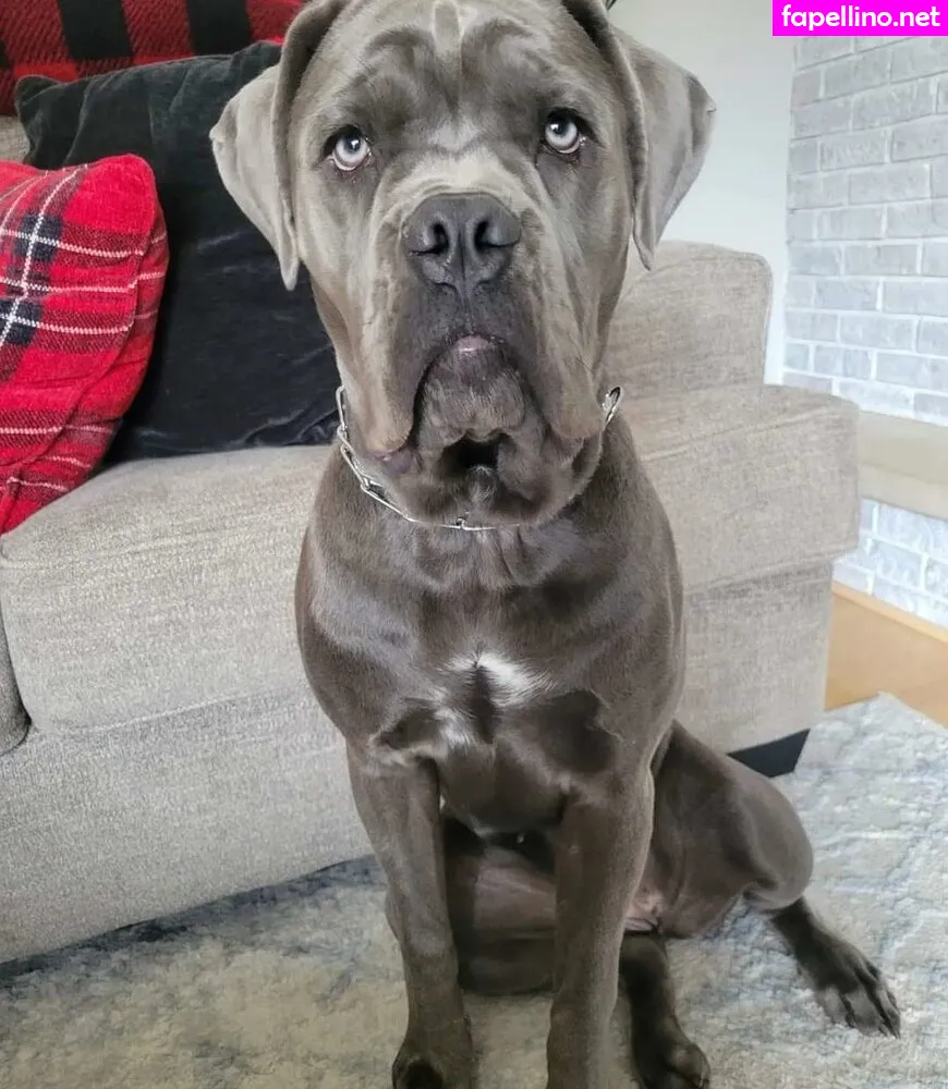 missjeeyung, missjeeyungvip, missjeeyungxo Nude Leaked OnlyFans Photo #BfkeulyJei