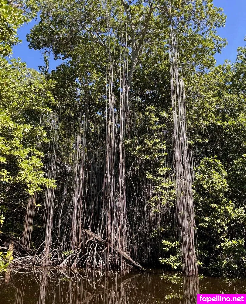 https:, missbella_xx, missbellaboo_x Nude Leaked OnlyFans Photo #ZXsbTeUL5u