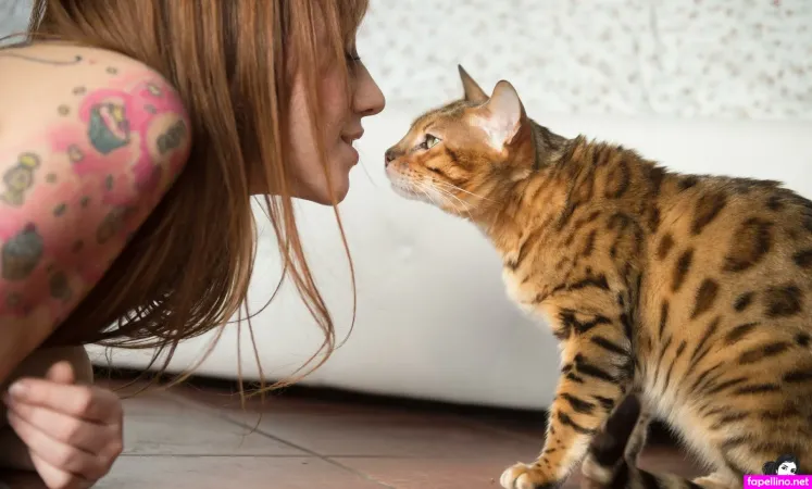 Misscandyhell 1 OnlyFans Thumbnail #KNWKNCLCoB