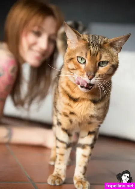 Misscandyhell 1 OnlyFans Thumbnail #v9iyqYnC3l