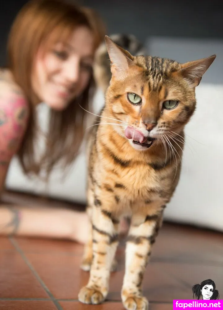 misscandyhell, osteo.deb Nude Leaked OnlyFans Photo #v9iyqYnC3l