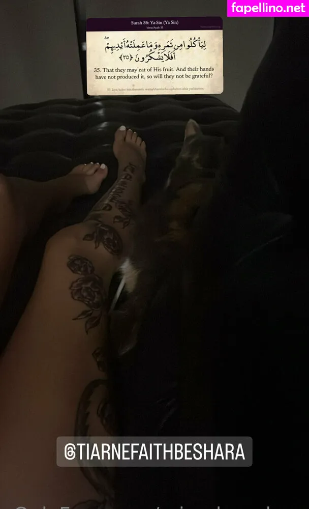 _mychaelaxo, misschaneloxo Nude Leaked OnlyFans Photo #gEpLFAQ31w