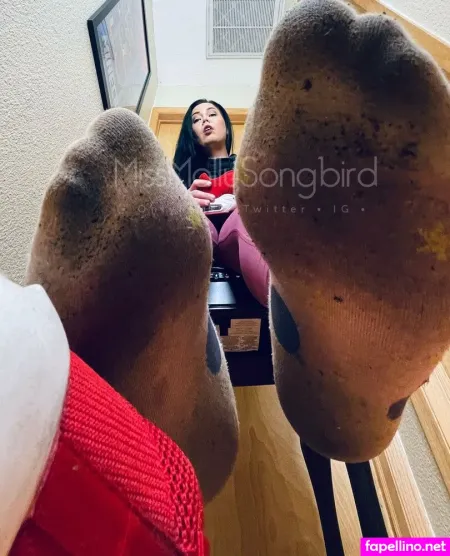 Missmollysongbird OnlyFans Thumbnail #OuTSF0nOU3