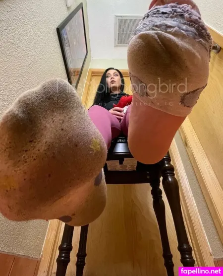 Missmollysongbird OnlyFans Thumbnail #qYM5PPfik2
