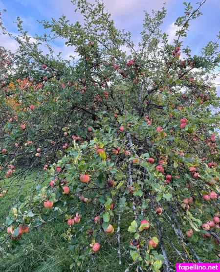 Missninasparklesx OnlyFans Thumbnail #TG1lvj3vA3