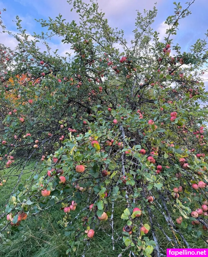 missninasparklesx Nude Leaked OnlyFans Photo #TG1lvj3vA3