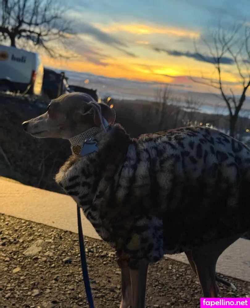 missninasparklesx Nude Leaked OnlyFans Photo #V6gWIhOaMq