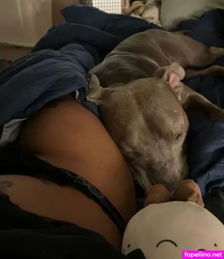 Missprankz OnlyFans Thumbnail #Mw5Iep3DT7