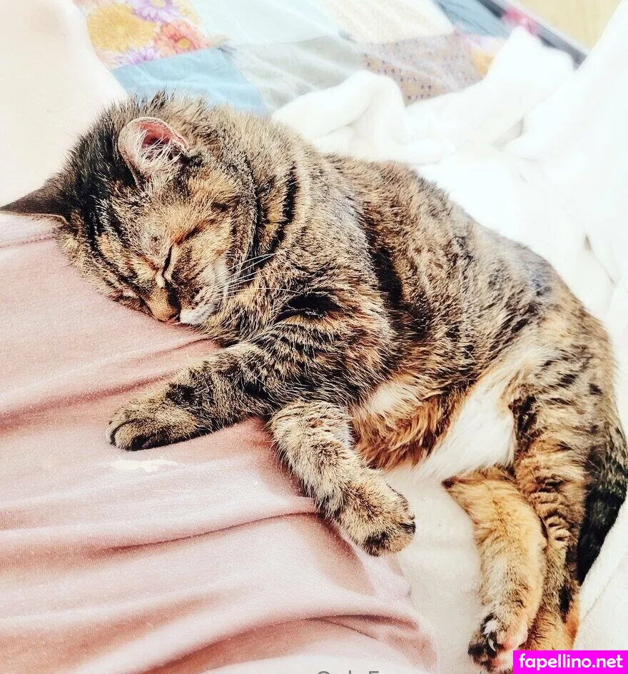 missroyalkc, missroyaltyxoxo Nude Leaked OnlyFans Photo #2PSUNtRbfx