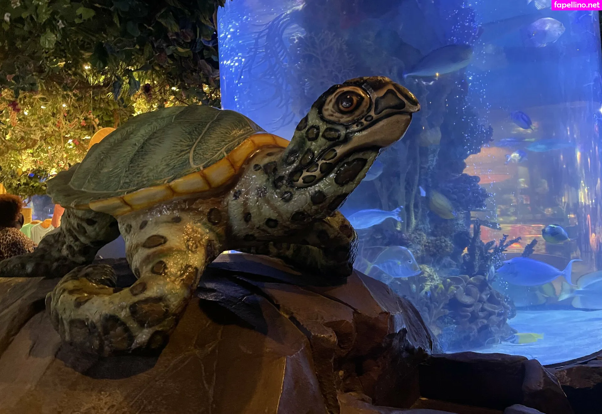 misty_lovelace, mistylovelace Nude Leaked OnlyFans Photo #BEPdhVIv1v