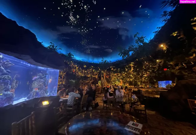 Mistylovelace OnlyFans Thumbnail #dU9wLL8Mu0