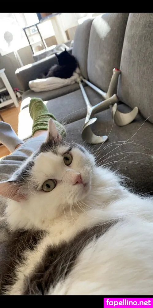 mmmilla Nude Leaked OnlyFans Photo #yUKPZJh0vl