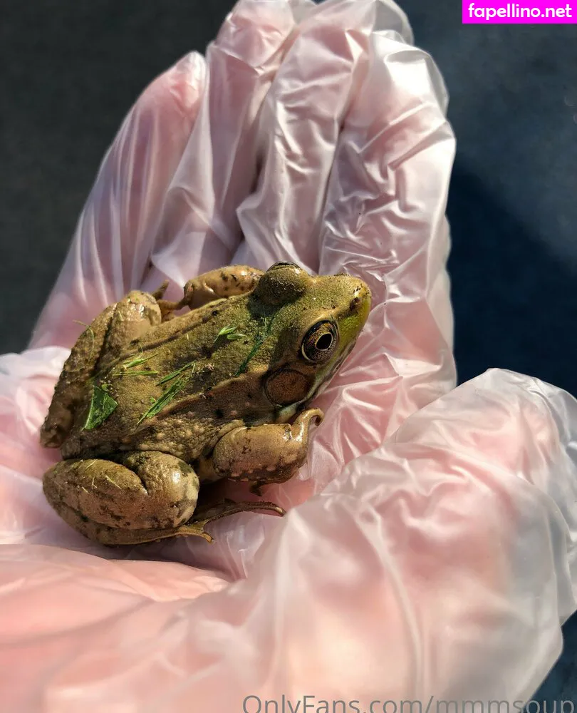 mmmsoup Nude Leaked OnlyFans Photo #FrTzWoHifK