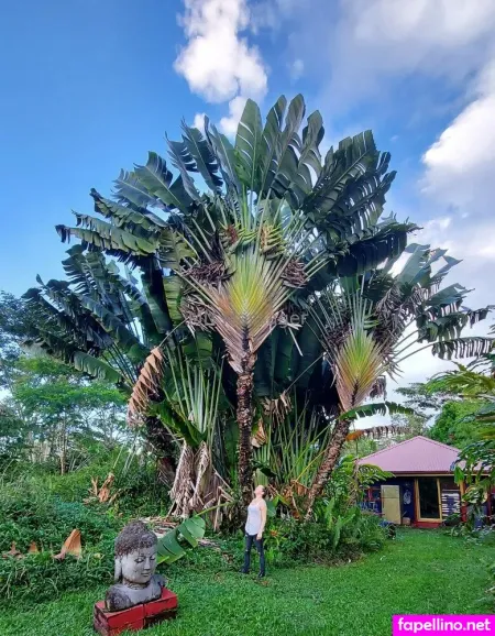 Mnmassager OnlyFans Thumbnail #Z1aVKVdeat