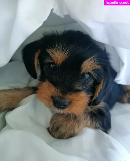 Modeltechie OnlyFans Thumbnail #WyVnhlVVwW