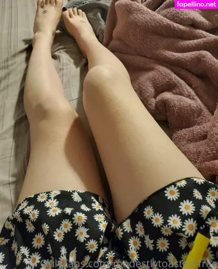 Modestlytoasted Free OnlyFans Thumbnail #TtAr9sceU0