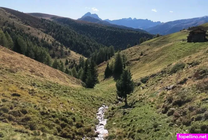 Mogli OnlyFans Thumbnail #rH5STaozaB