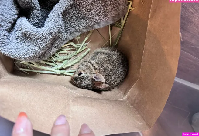 Molly4daddy OnlyFans Thumbnail #329NCT35Jf