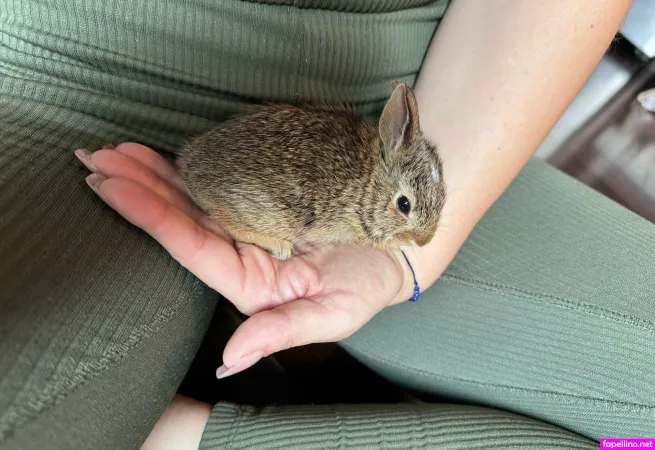 Molly4daddy OnlyFans Thumbnail #QT0QfPKfQB