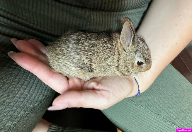 Molly4daddy OnlyFans Thumbnail #ShNKL1izx5