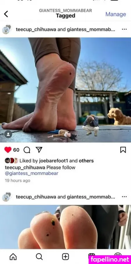 Mommabearfeetfetish OnlyFans Thumbnail #0oH7bNVE0b