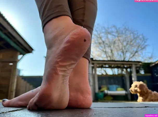 Mommabearfeetfetish OnlyFans Thumbnail #VV6B1Ngp4p