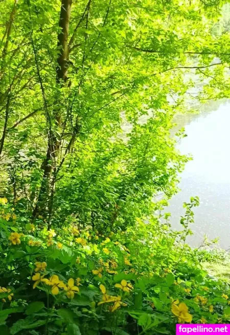 Monicutex OnlyFans Thumbnail #MbQJcEw5Qz